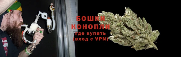дурь Белокуриха