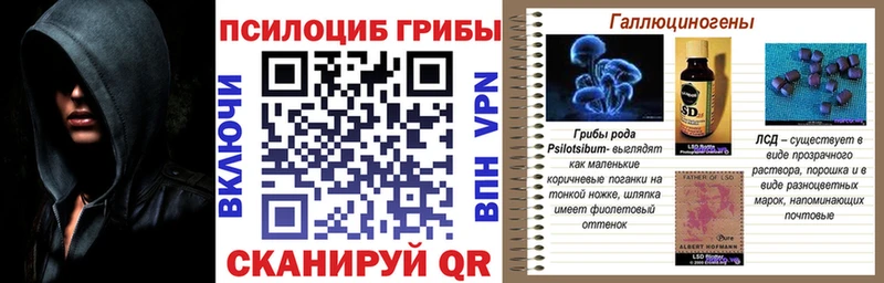 Купить  Невьянск  Галлюциногенные грибы прущие грибы 
